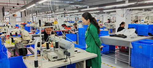 藍山委員提案助推產業(yè)大發(fā)展，央廣網聚焦社會經濟咨詢服務